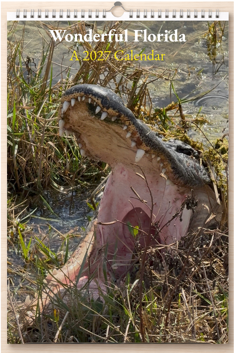 Wonderful Florida: A 2027 Calendar