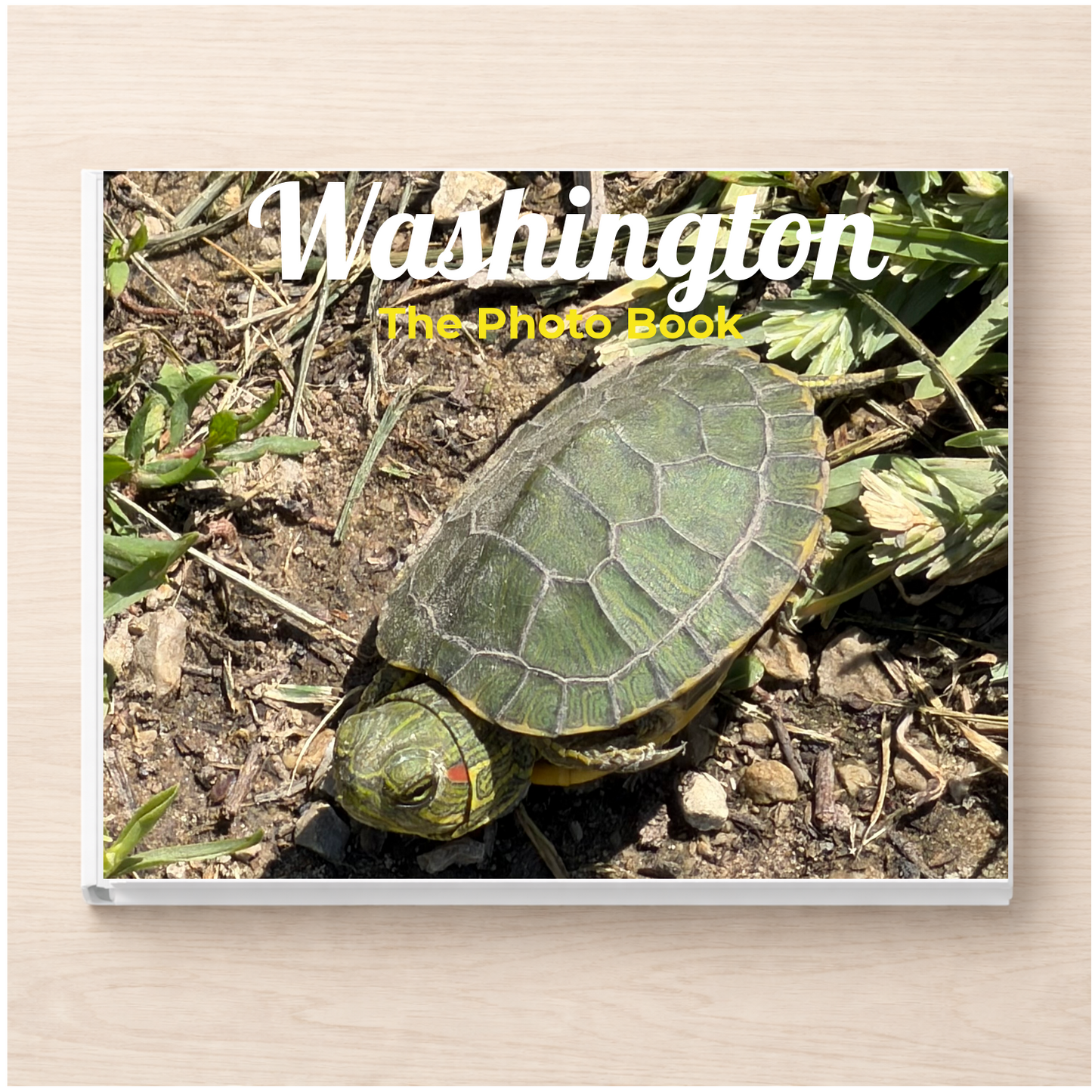 Washington: The Photo Book
