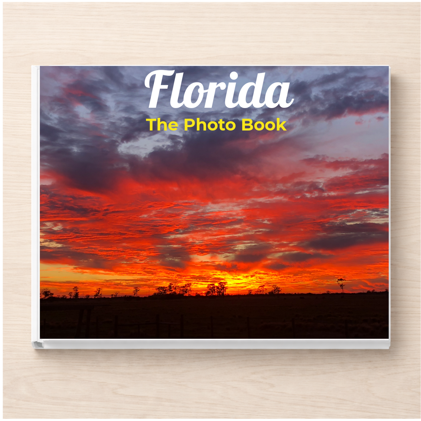 Florida: The Photo Book