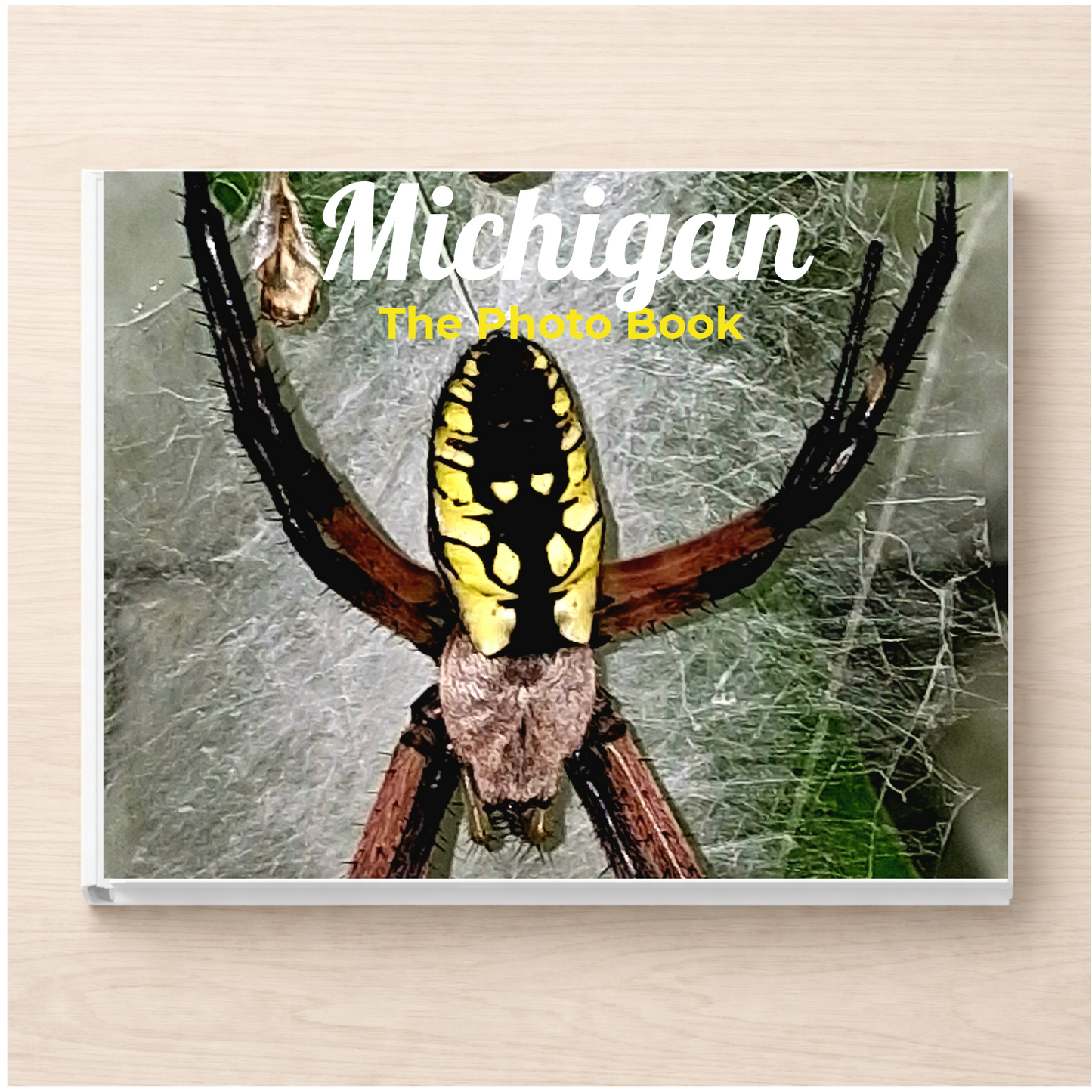 Michigan: The Photo Book