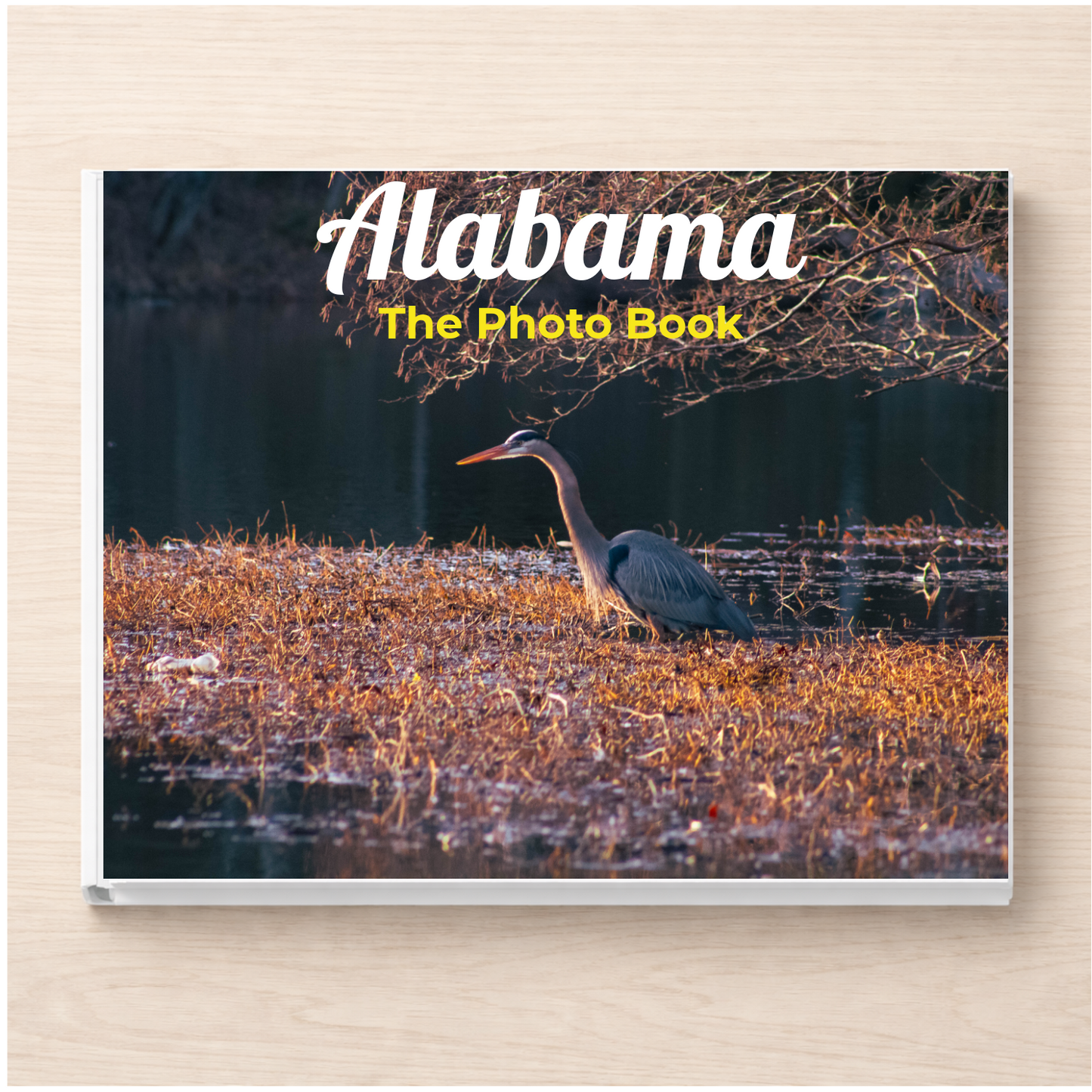 Alabama: The Photo Book