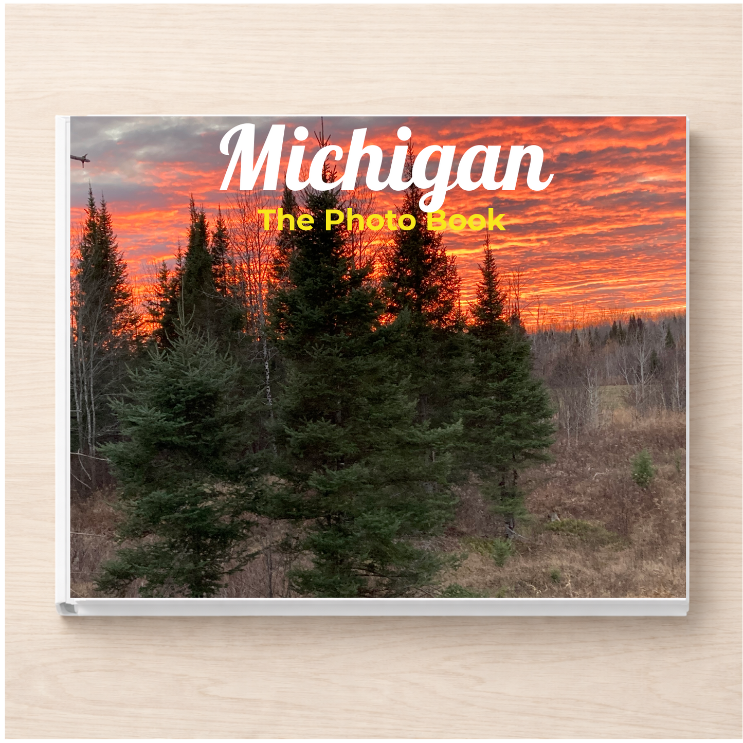 Michigan: The Photo Book