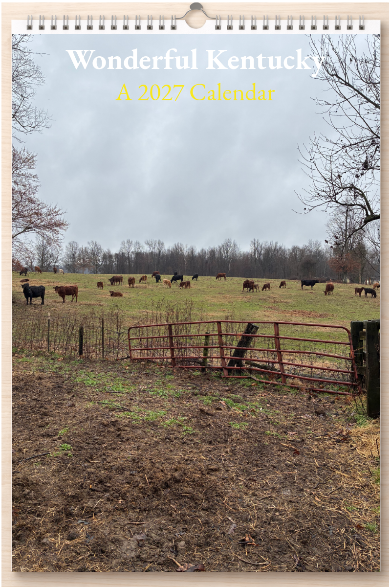 Wonderful Kentucky: A 2027 Calendar