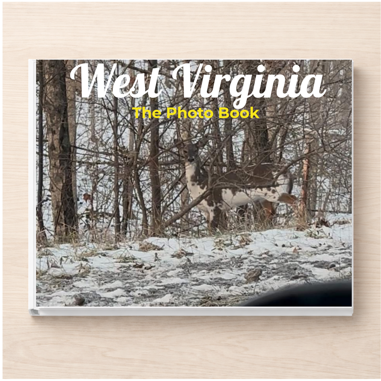 West Virginia: The Photo Book