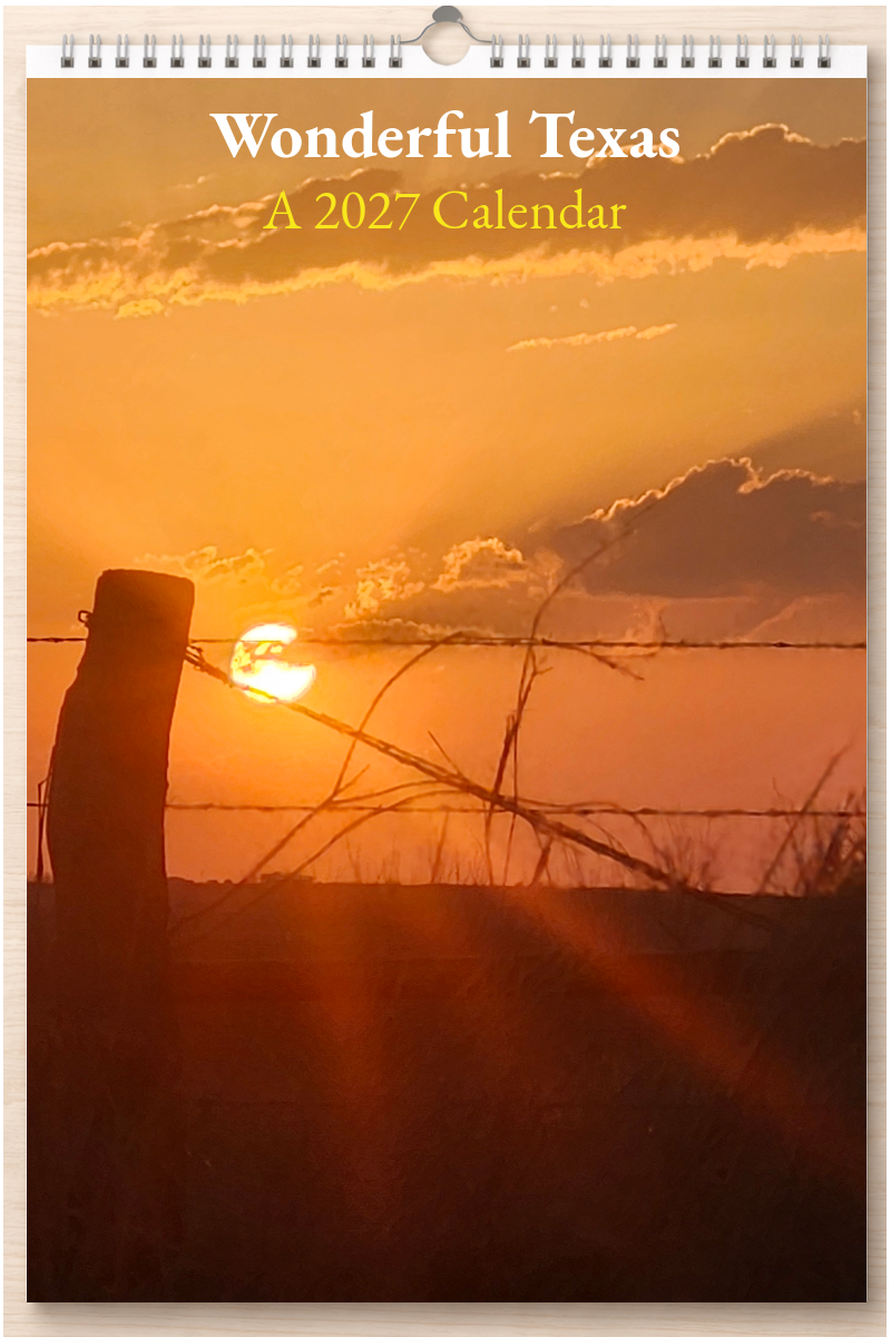 Wonderful Texas: A 2027 Calendar