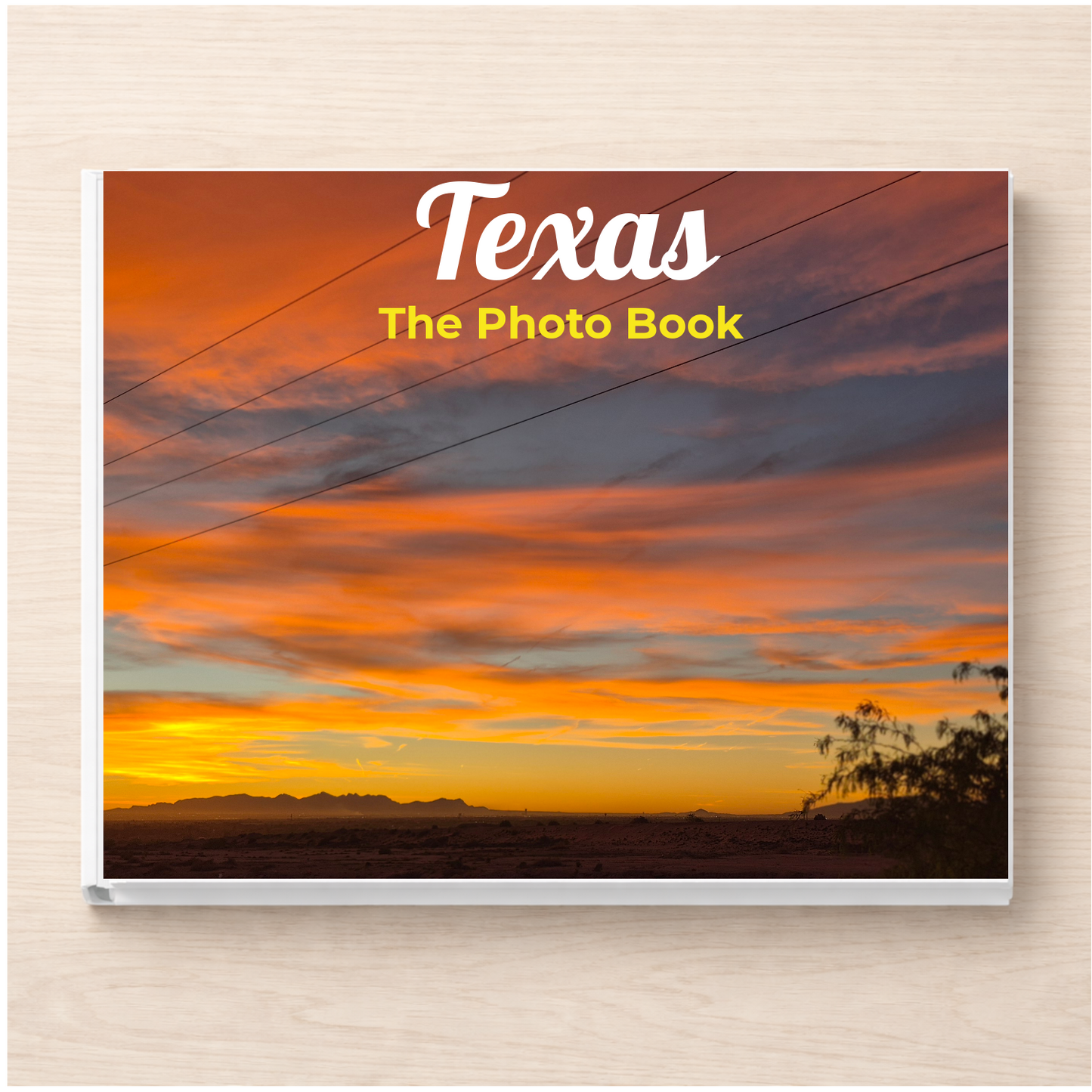 Texas: The Photo Book