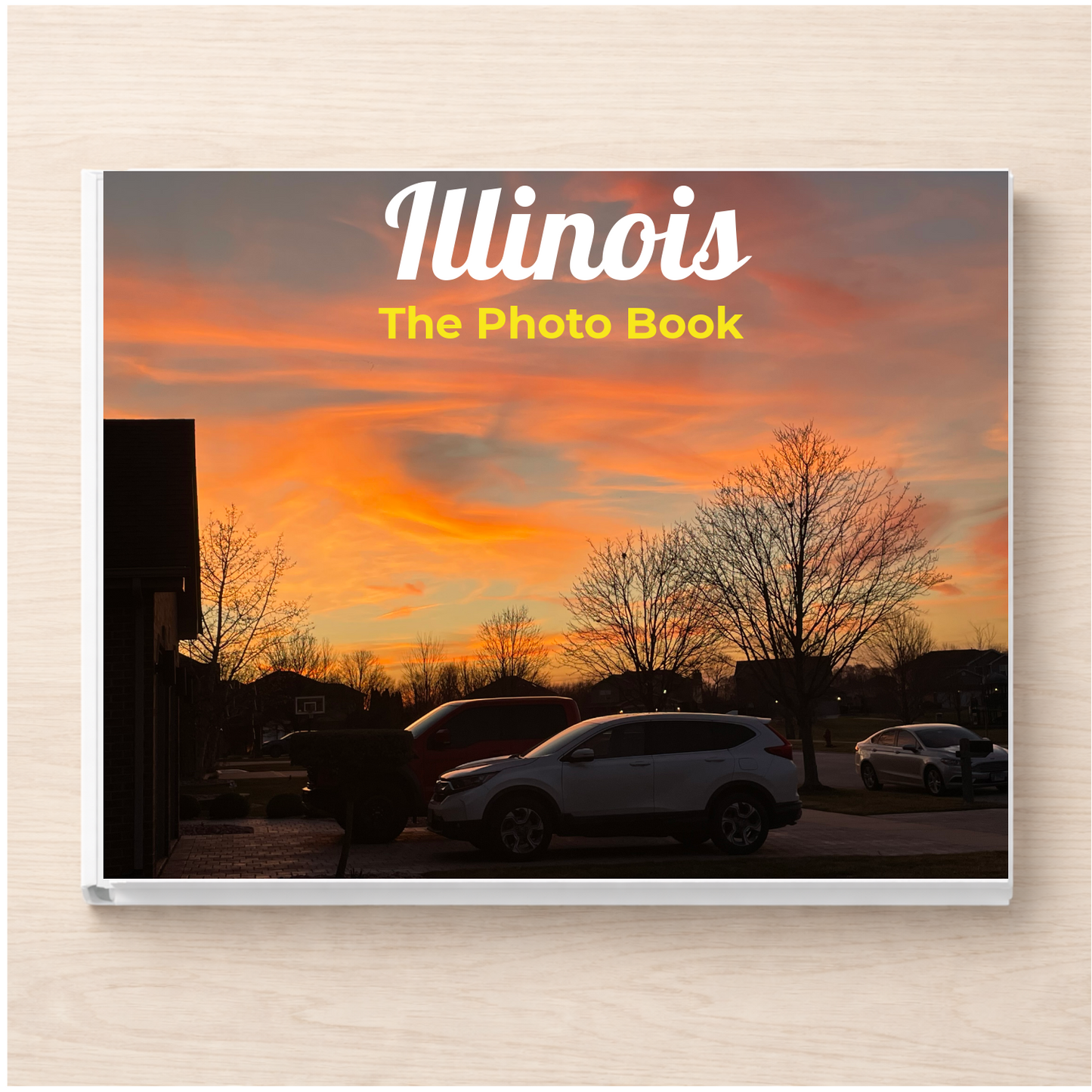 Illinois: The Photo Book