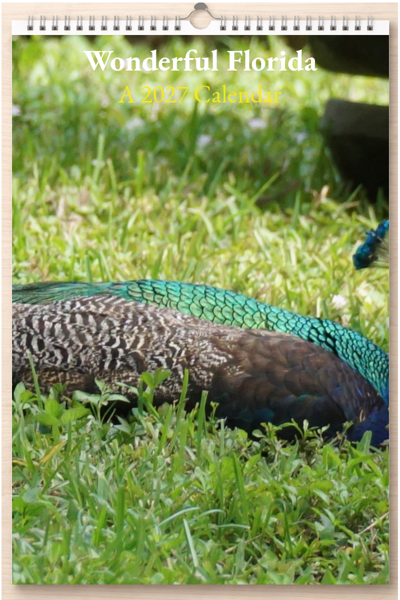 Wonderful Florida: A 2027 Calendar