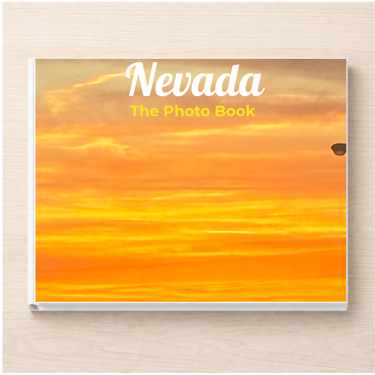 Nevada: The Photo Book
