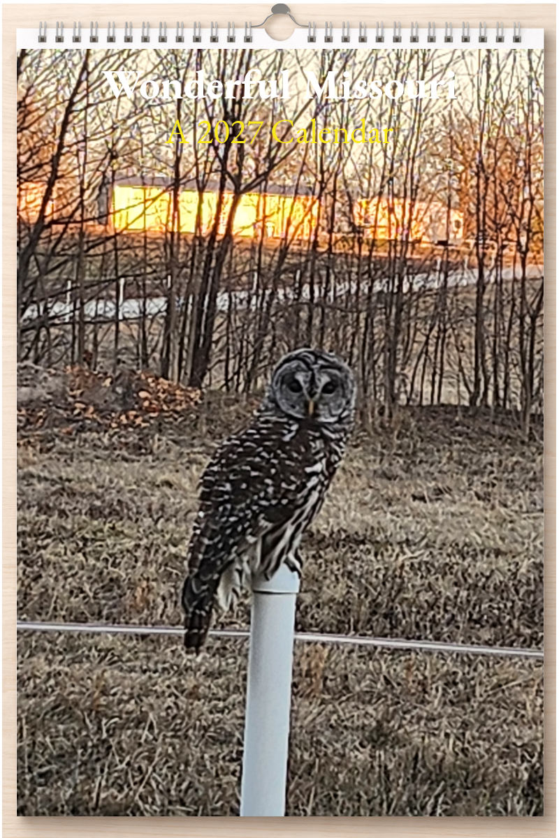 Wonderful Missouri: A 2027 Calendar