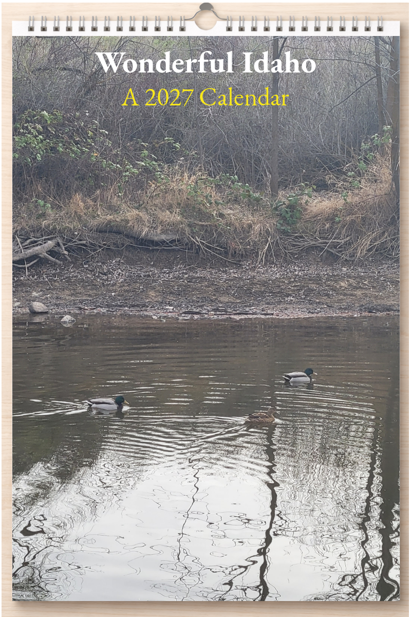 Wonderful Idaho: A 2027 Calendar