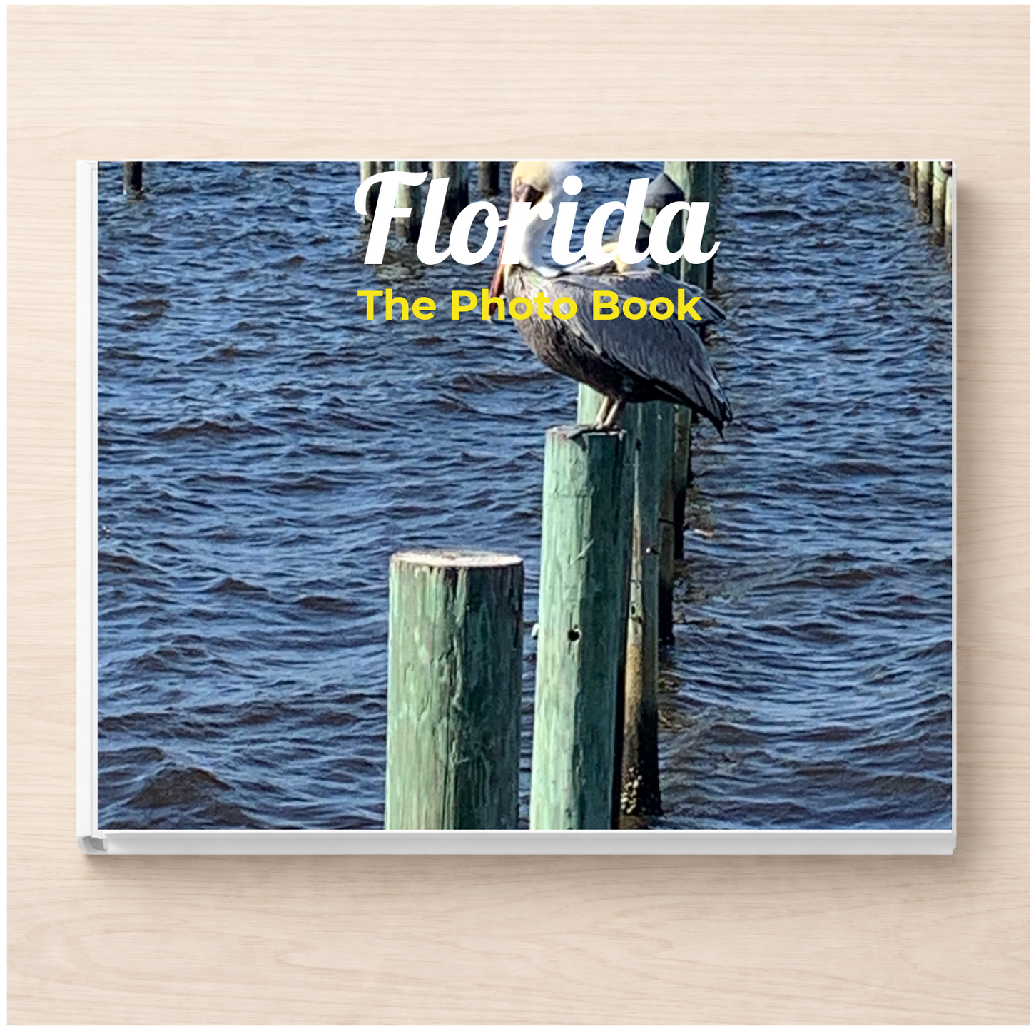 Florida: The Photo Book