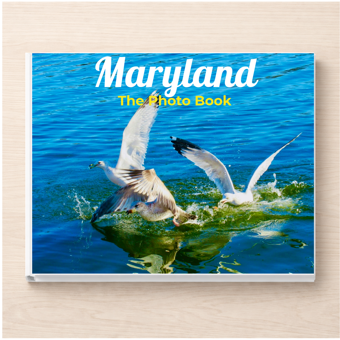 Maryland: The Photo Book