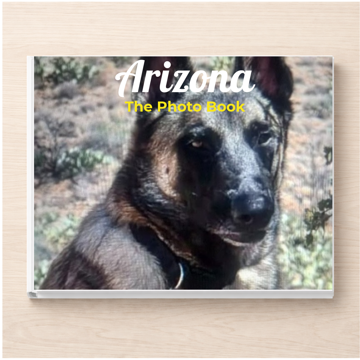 Arizona: The Photo Book