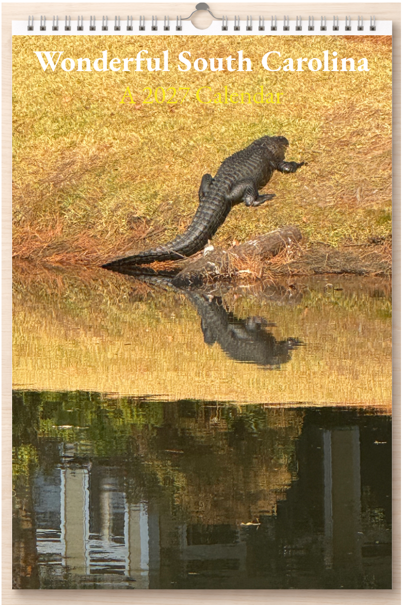 Wonderful South Carolina: A 2027 Calendar
