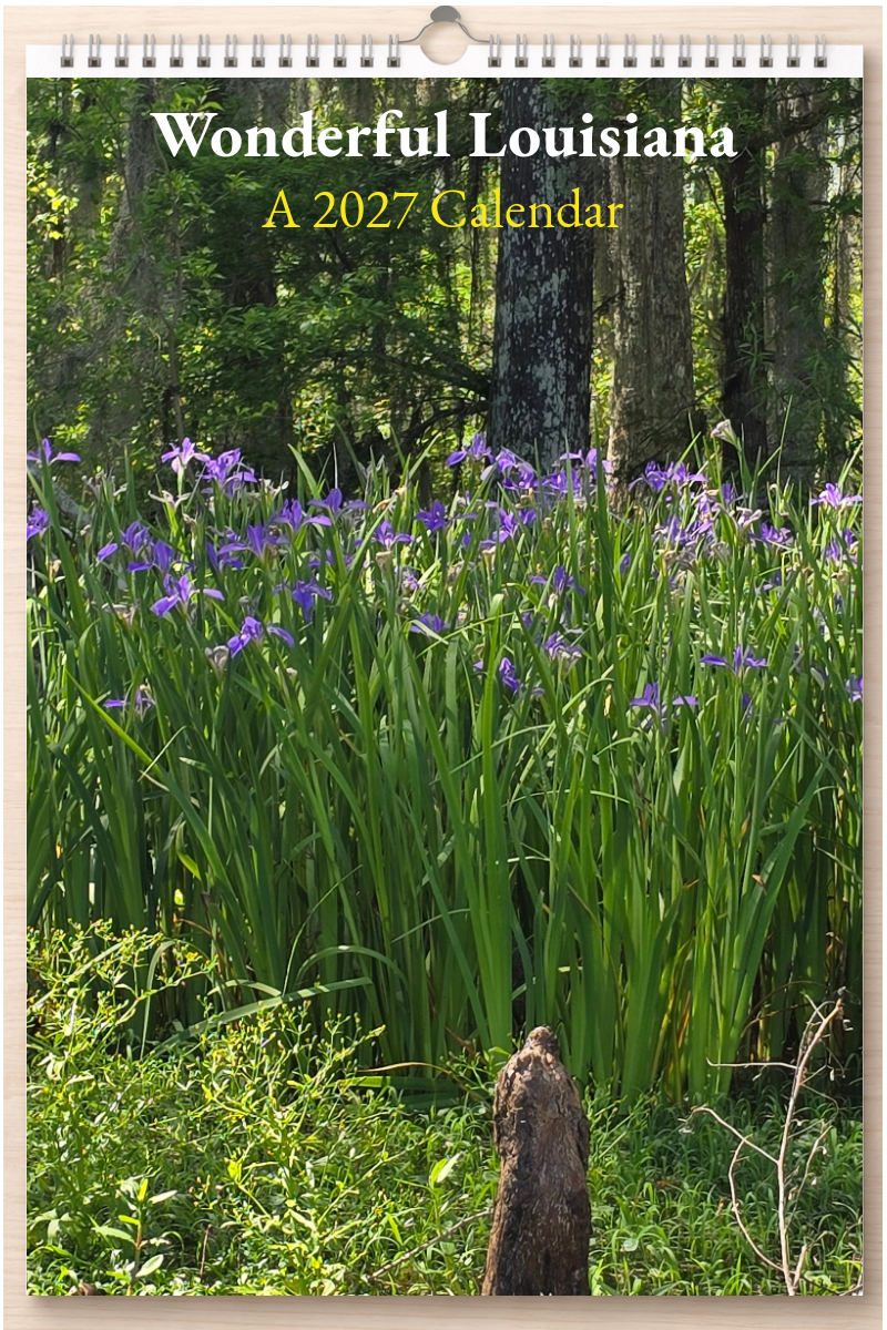 Wonderful Louisiana: A 2027 Calendar