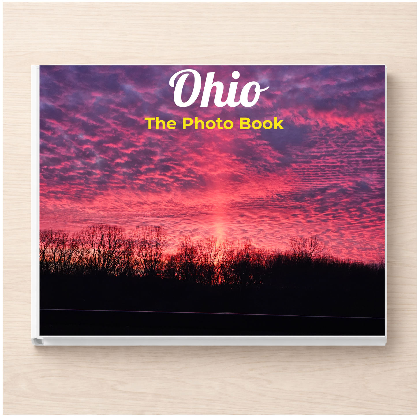 Ohio: The Photo Book