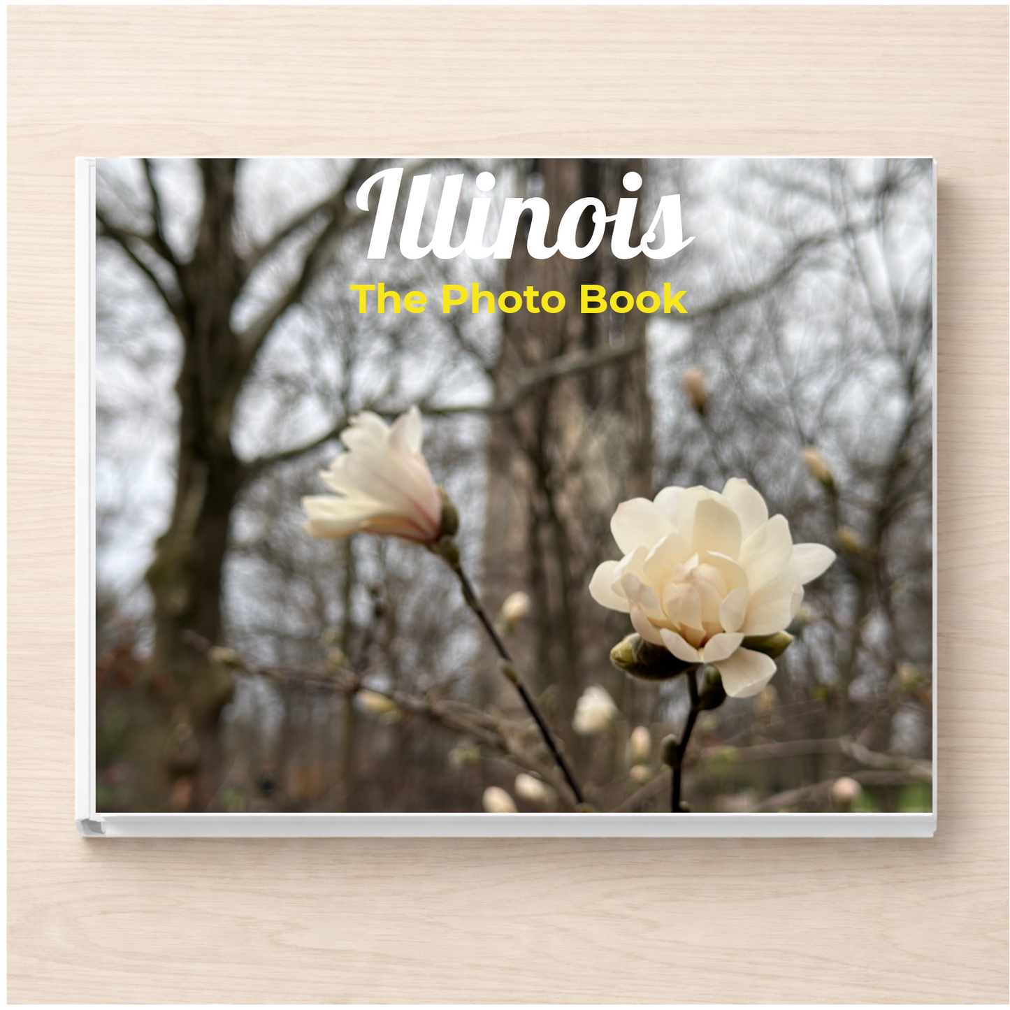 Illinois: The Photo Book