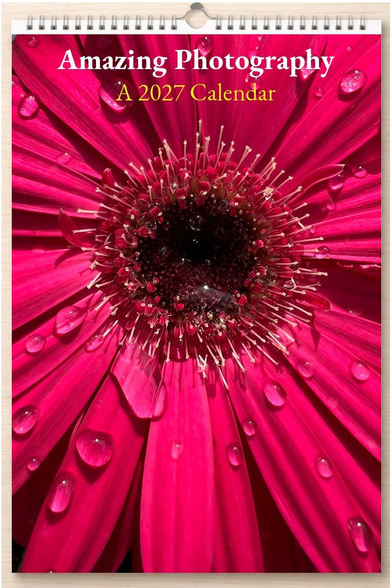 Amazing Photography: A 2027 Calendar