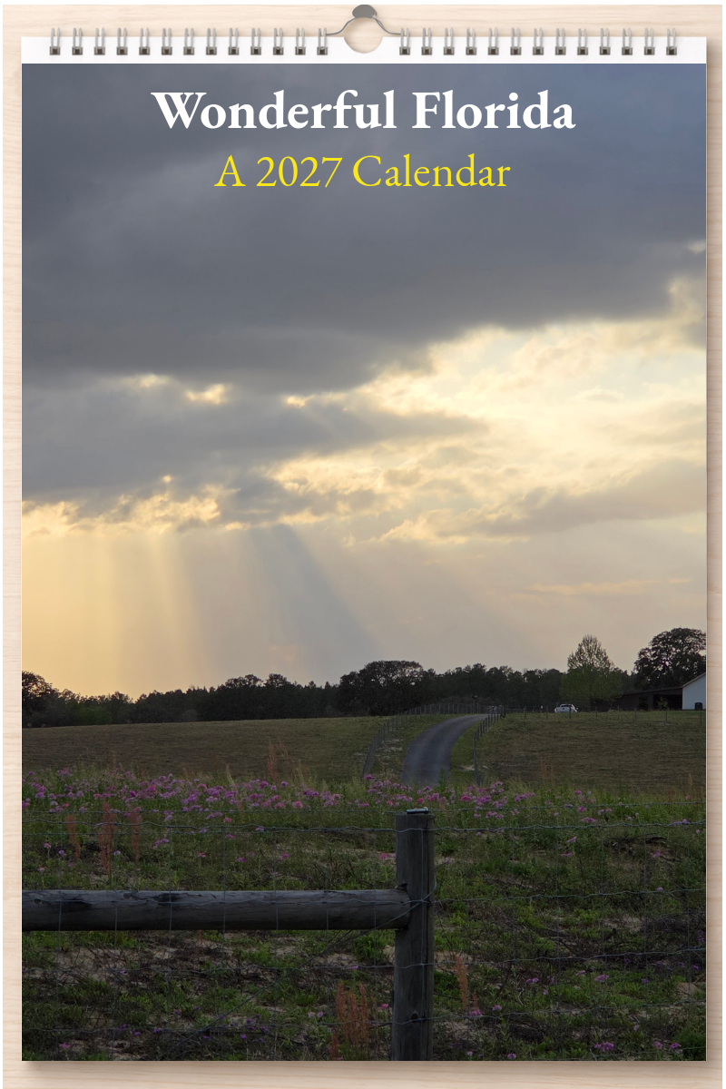 Wonderful Florida: A 2027 Calendar