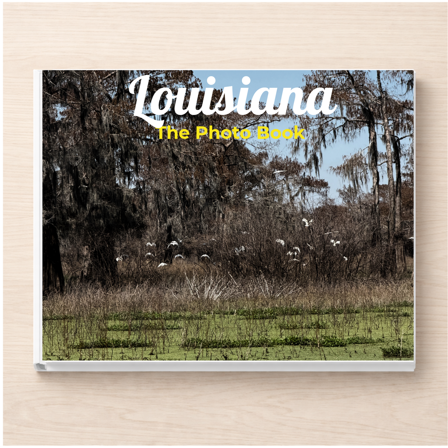 Louisiana: The Photo Book