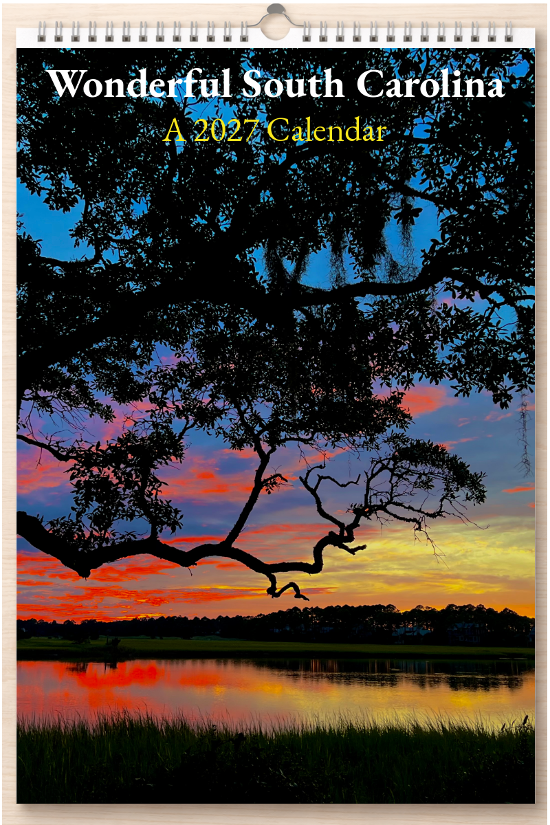 Wonderful South Carolina: A 2027 Calendar