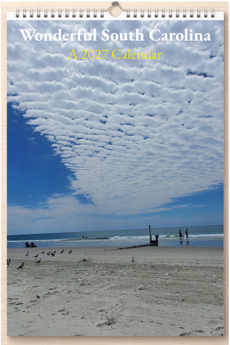Wonderful South Carolina: A 2027 Calendar
