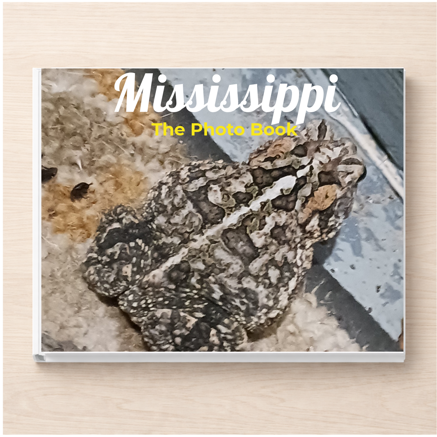 Mississippi: The Photo Book
