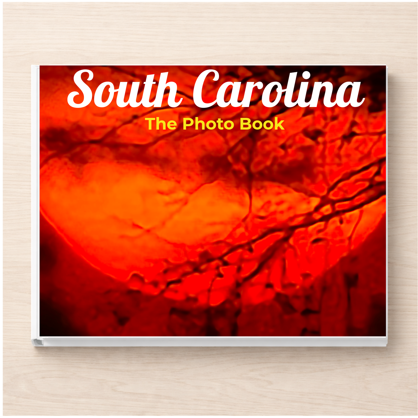 South Carolina: The Photo Book