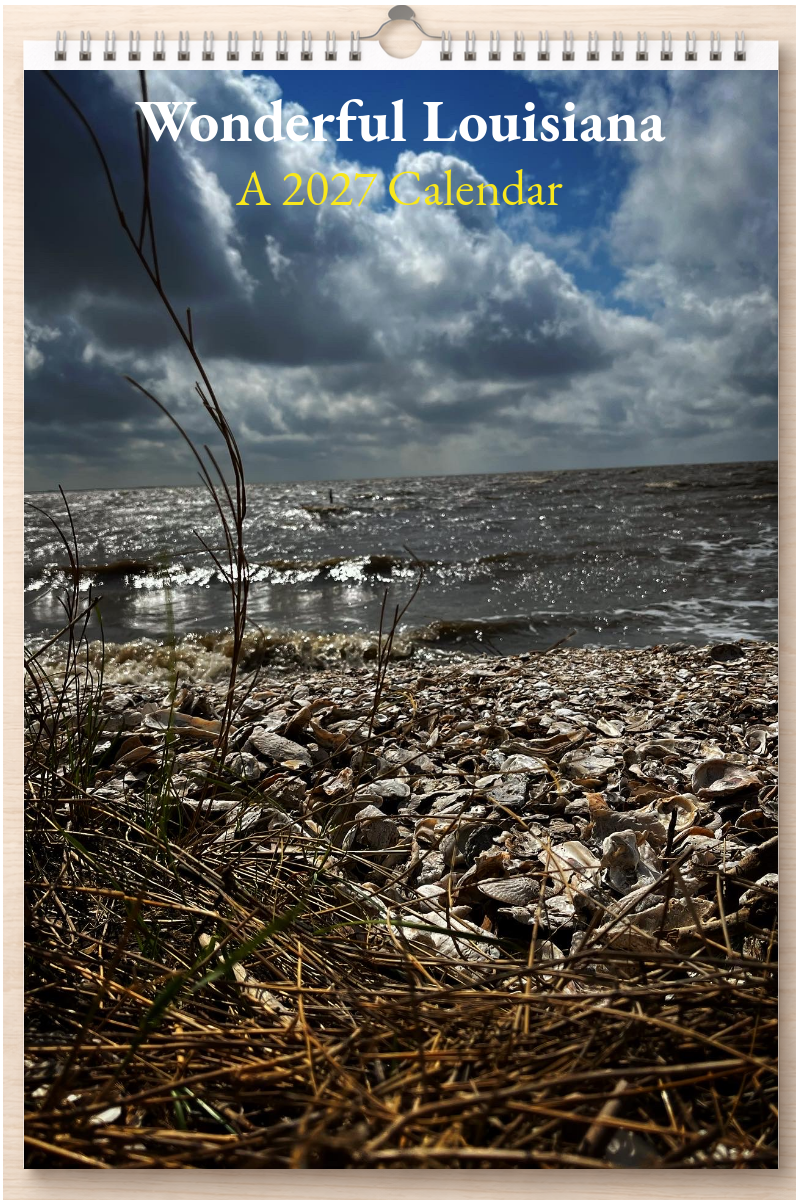 Wonderful Louisiana: A 2027 Calendar