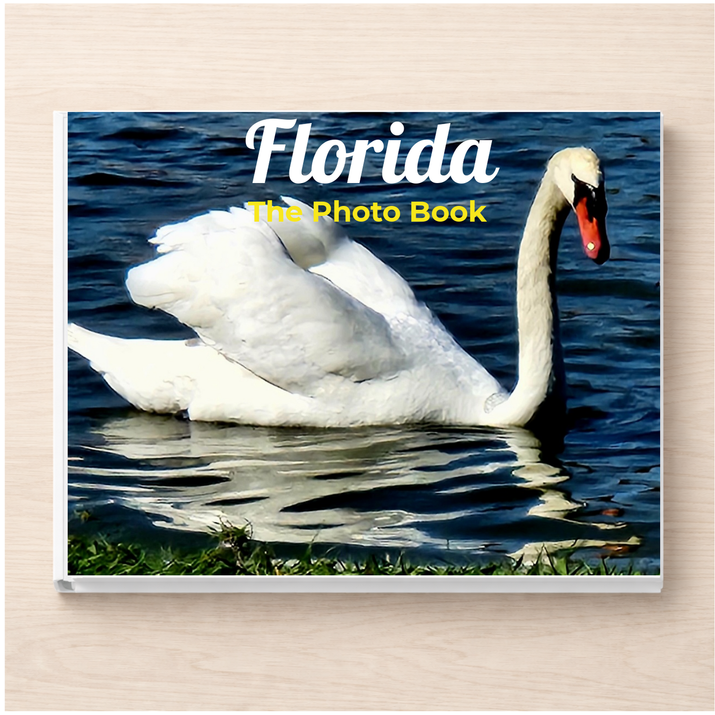 Florida: The Photo Book