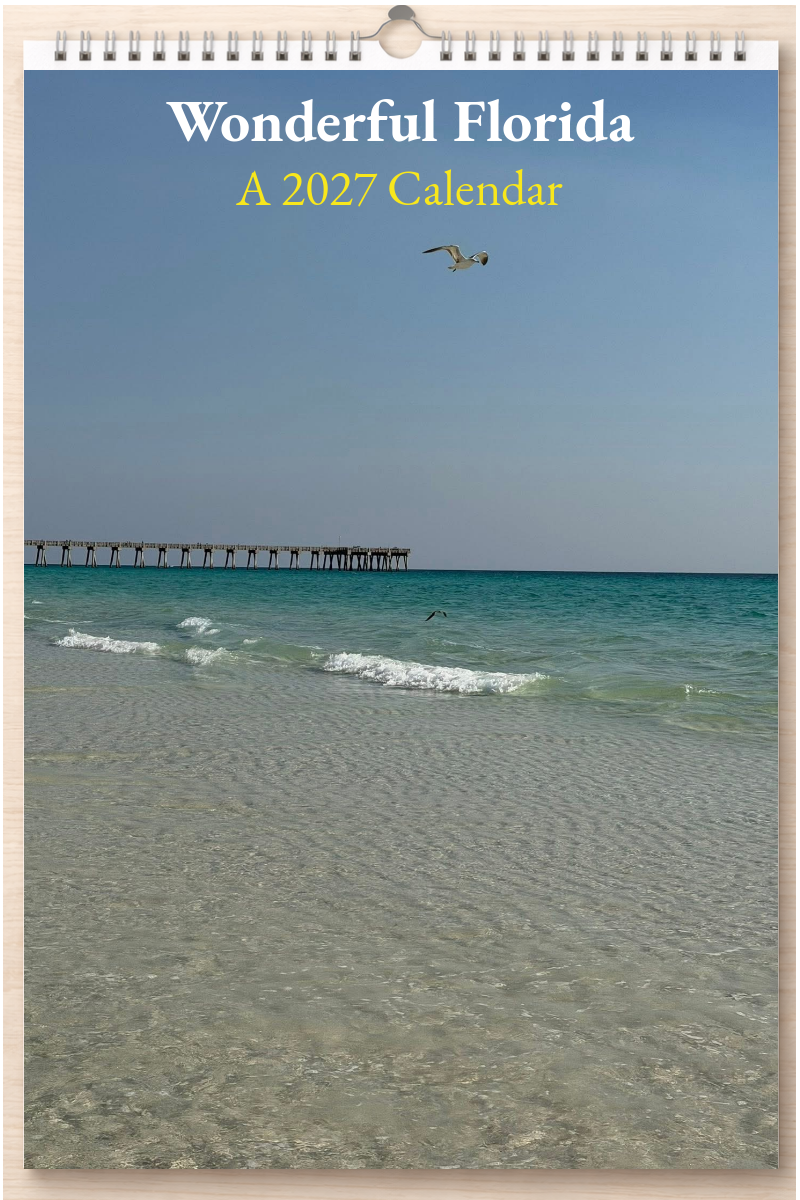 Wonderful Florida: A 2027 Calendar