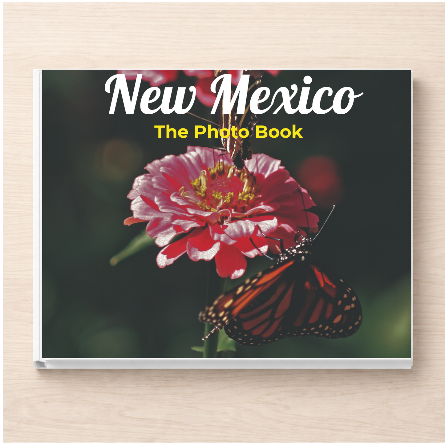 New Mexico: The Photo Book