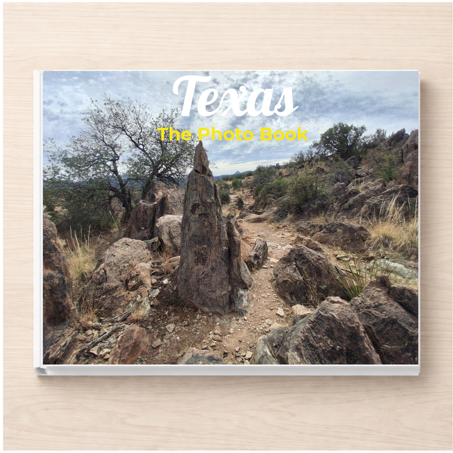 Texas: The Photo Book
