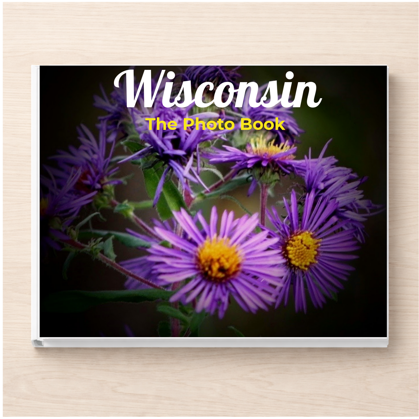 Wisconsin: The Photo Book