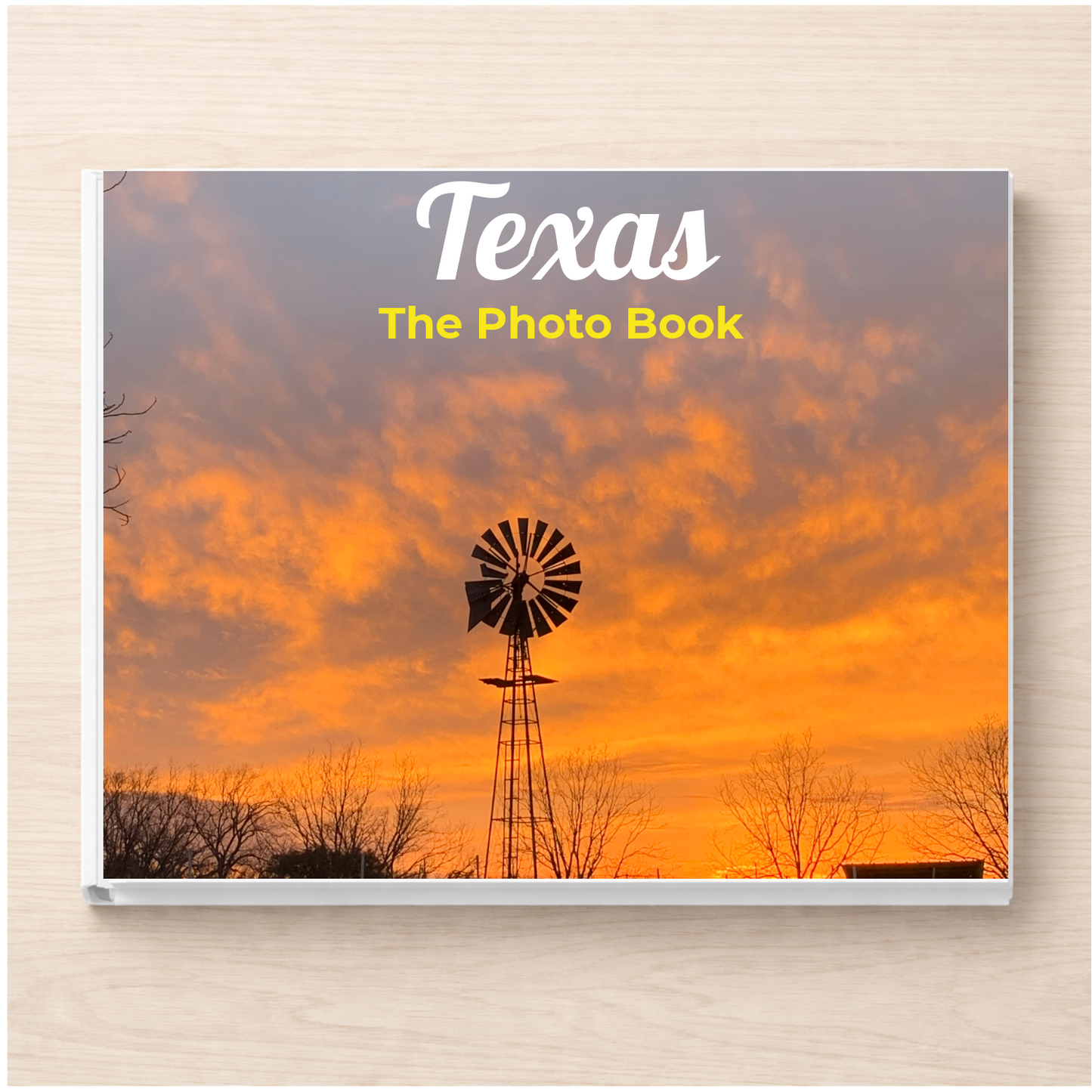 Texas: The Photo Book