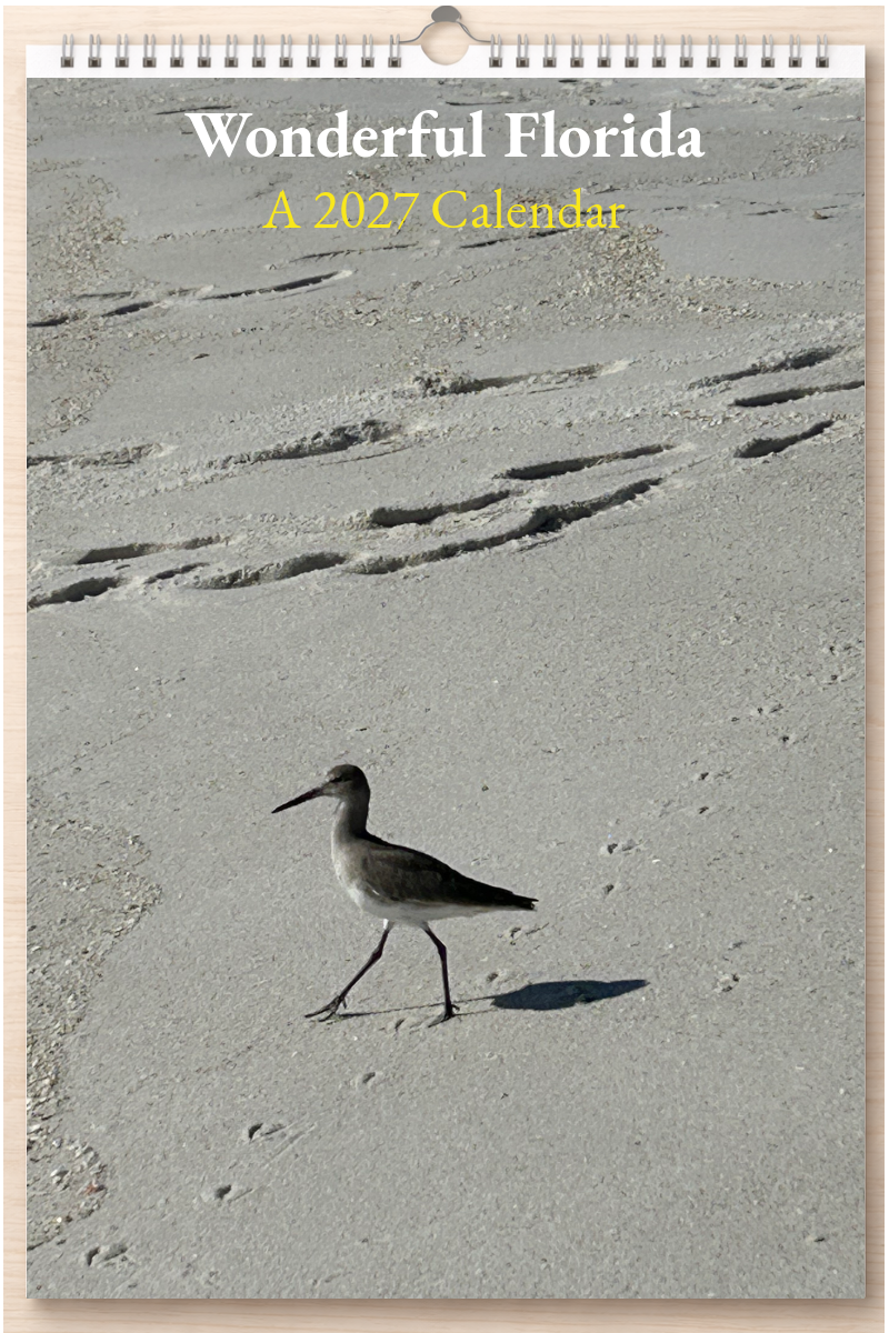 Wonderful Florida: A 2027 Calendar