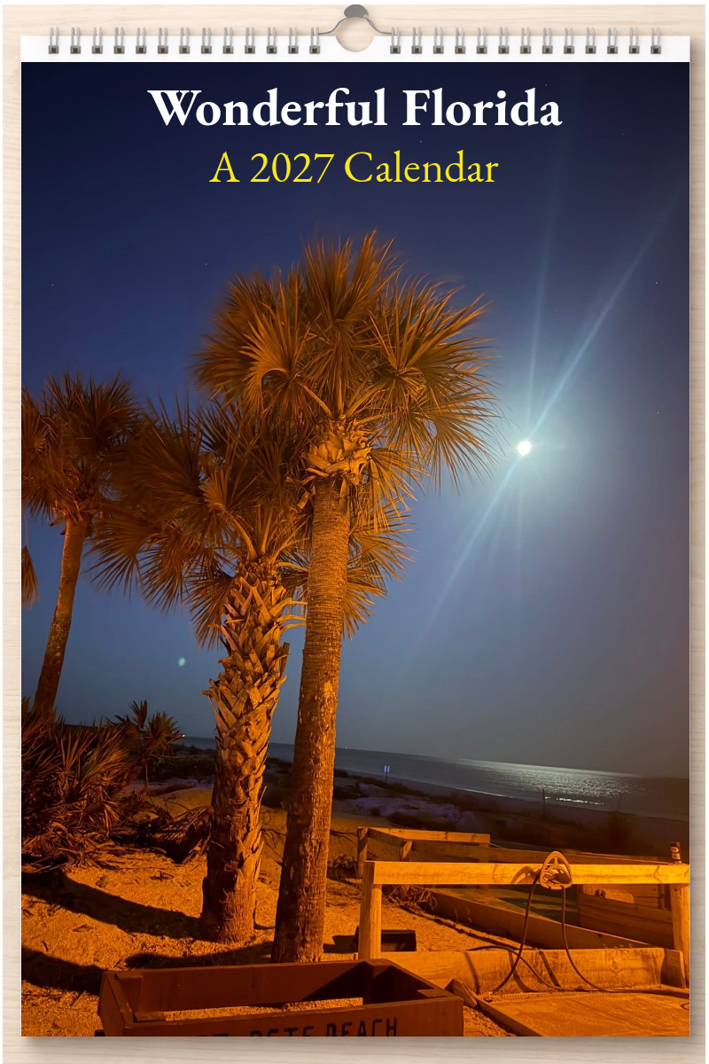 Wonderful Florida: A 2027 Calendar