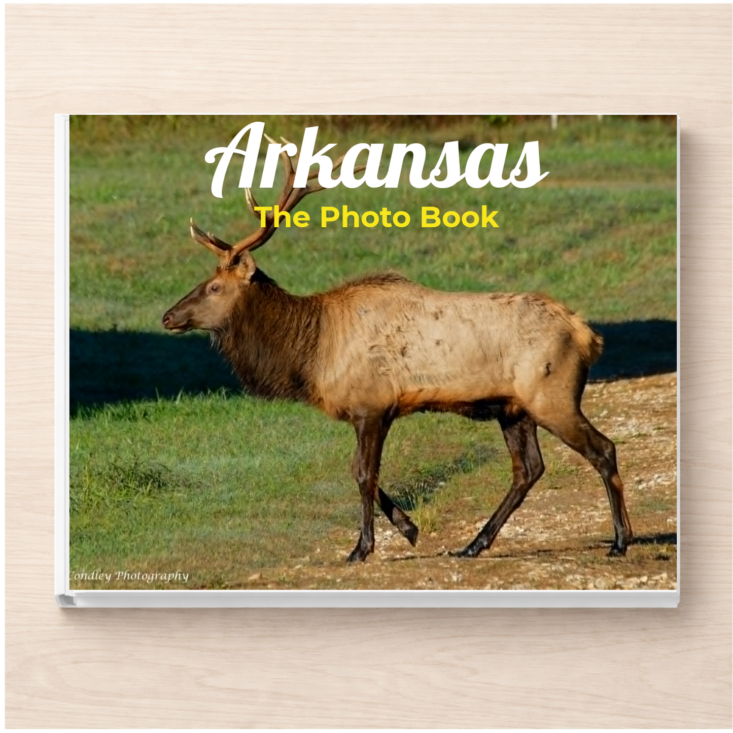 Arkansas: The Photo Book