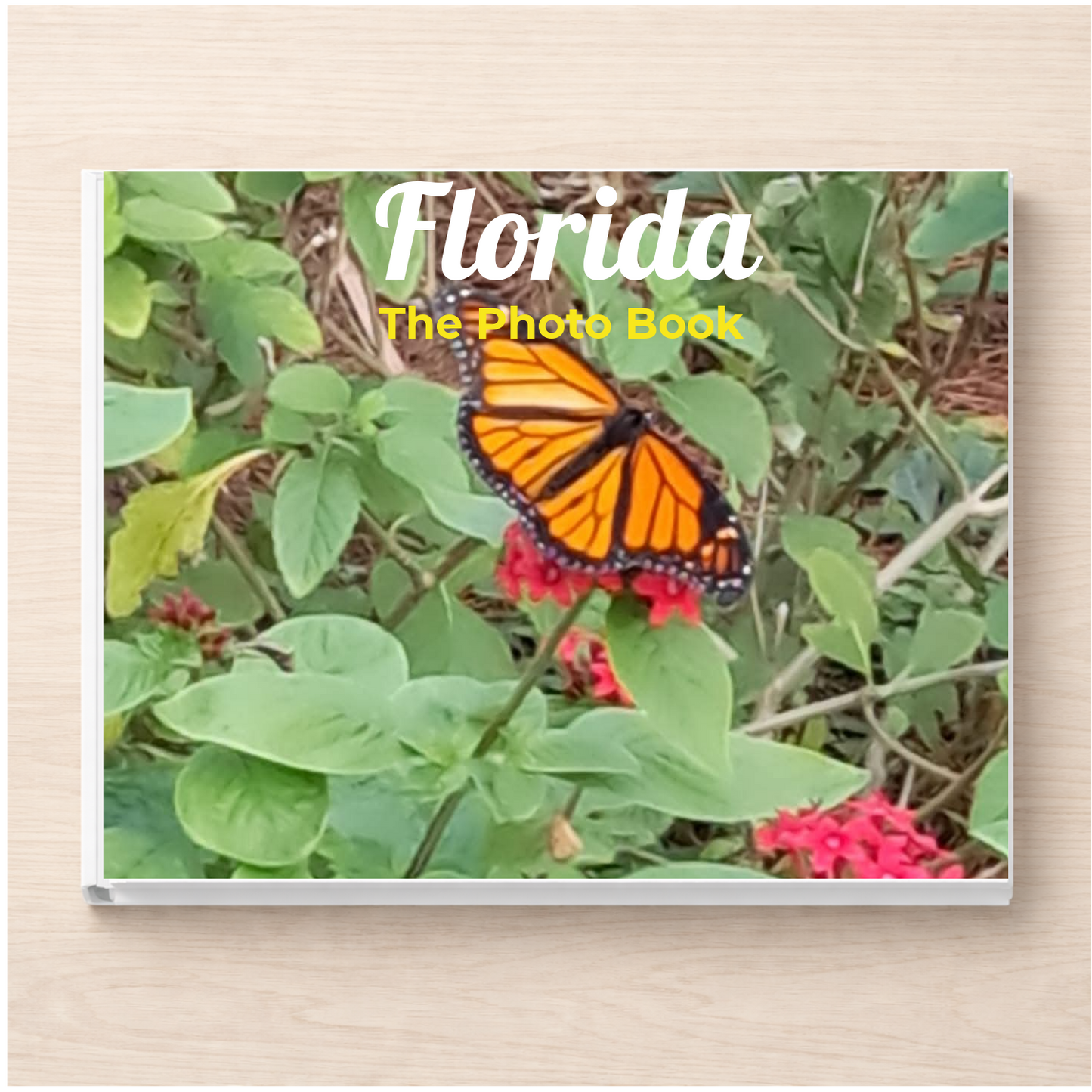 Florida: The Photo Book