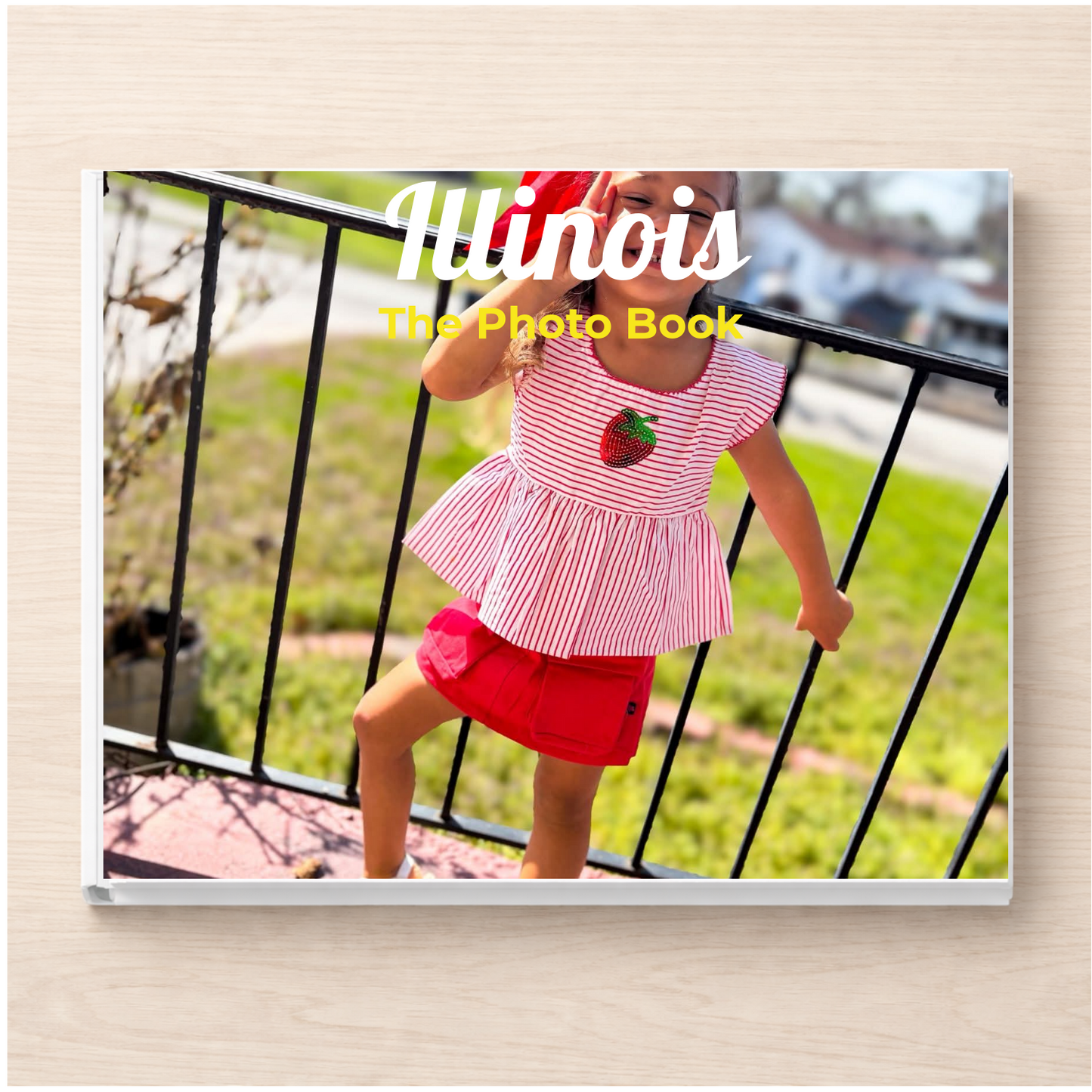 Illinois: The Photo Book