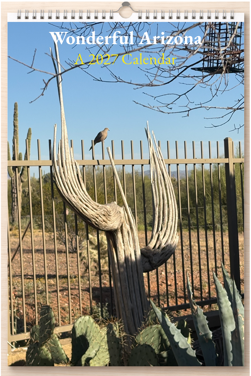 Wonderful Arizona: A 2027 Calendar