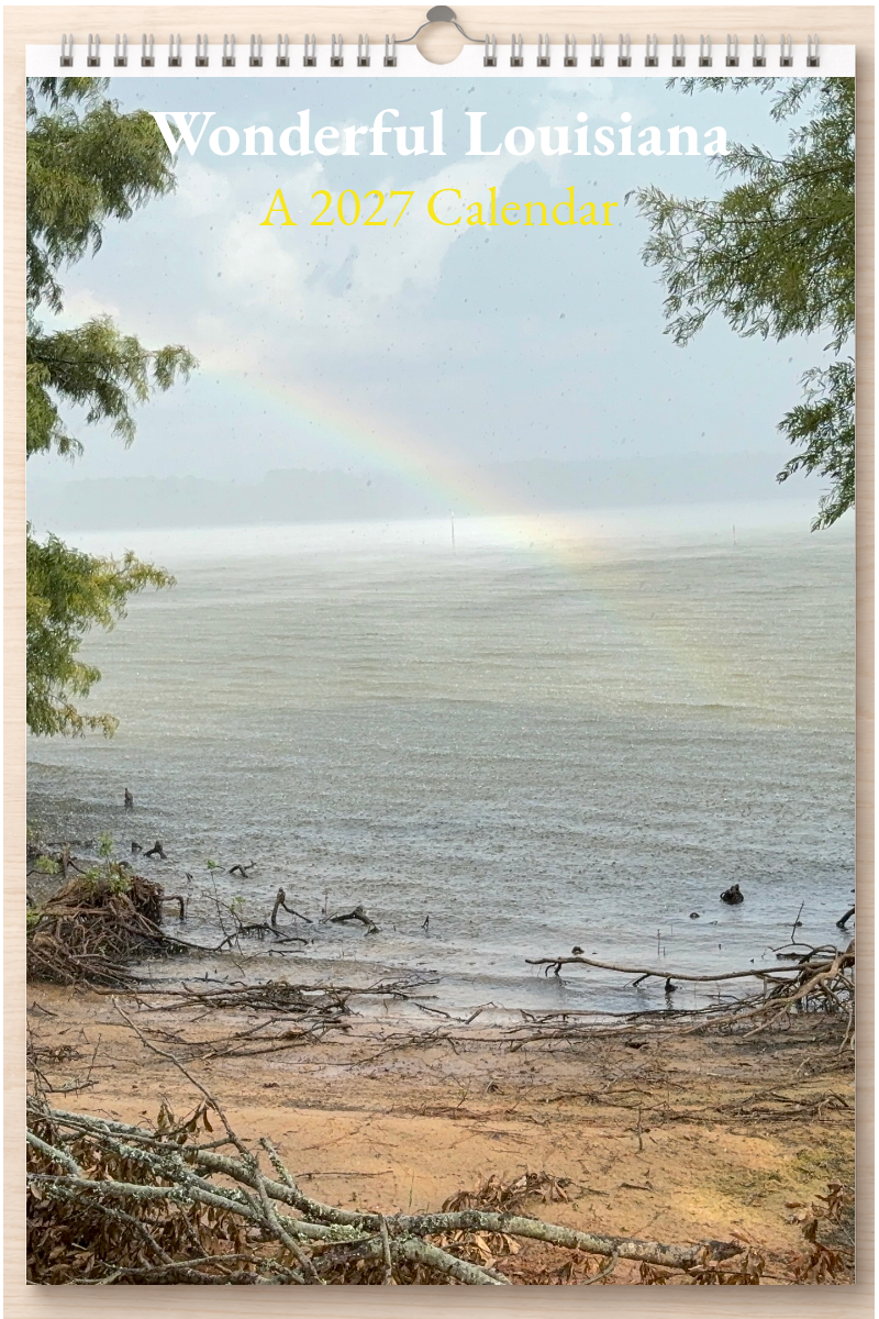 Wonderful Louisiana: A 2027 Calendar