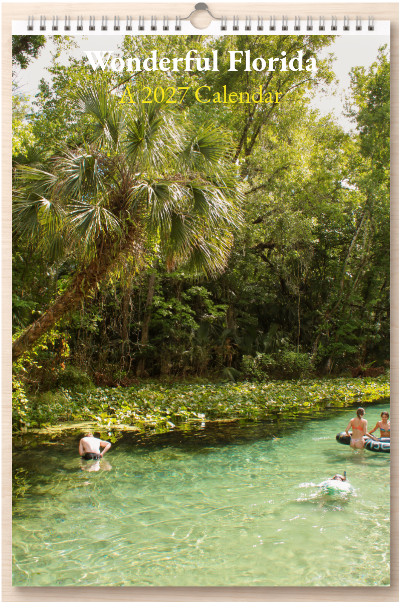 Wonderful Florida: A 2027 Calendar