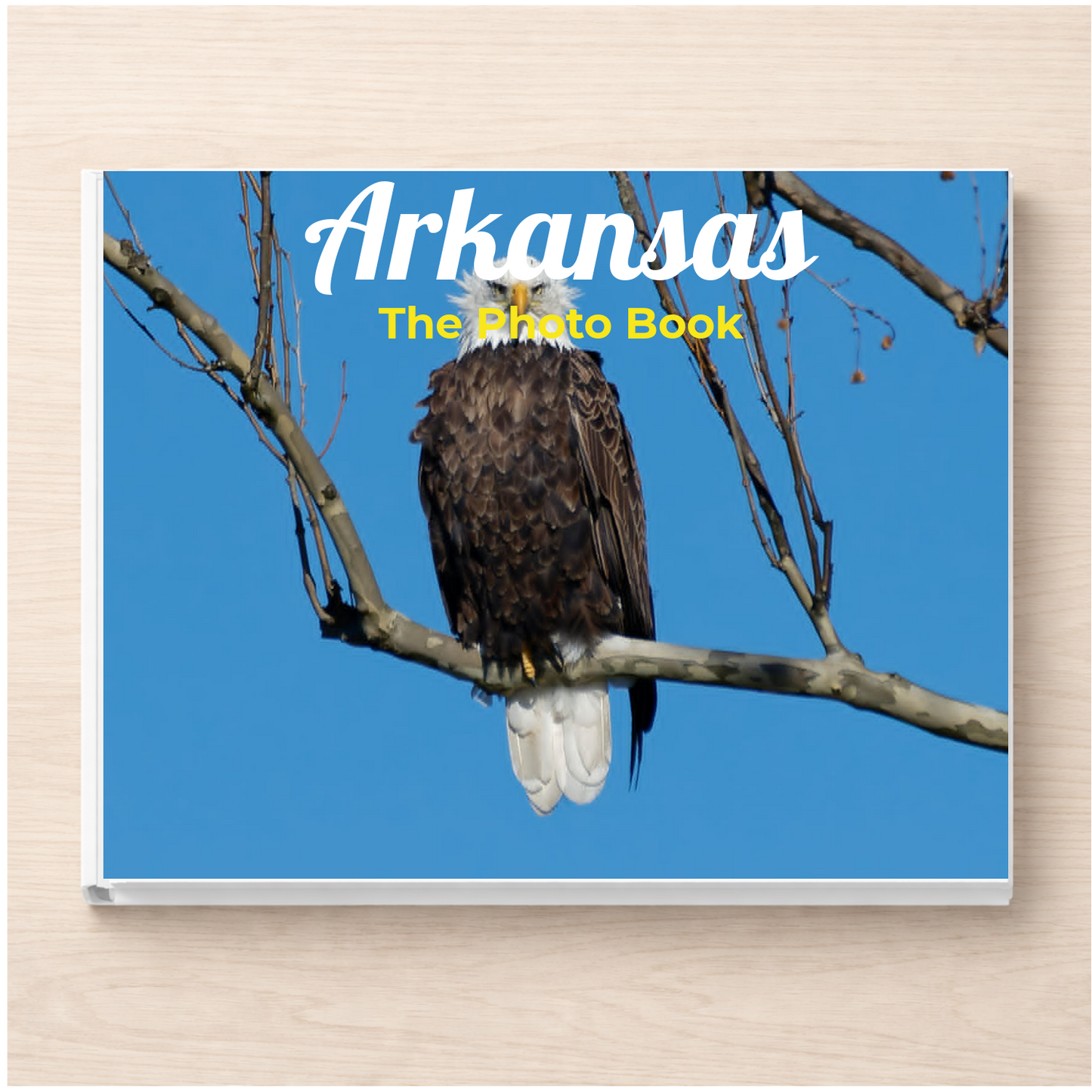 Arkansas: The Photo Book