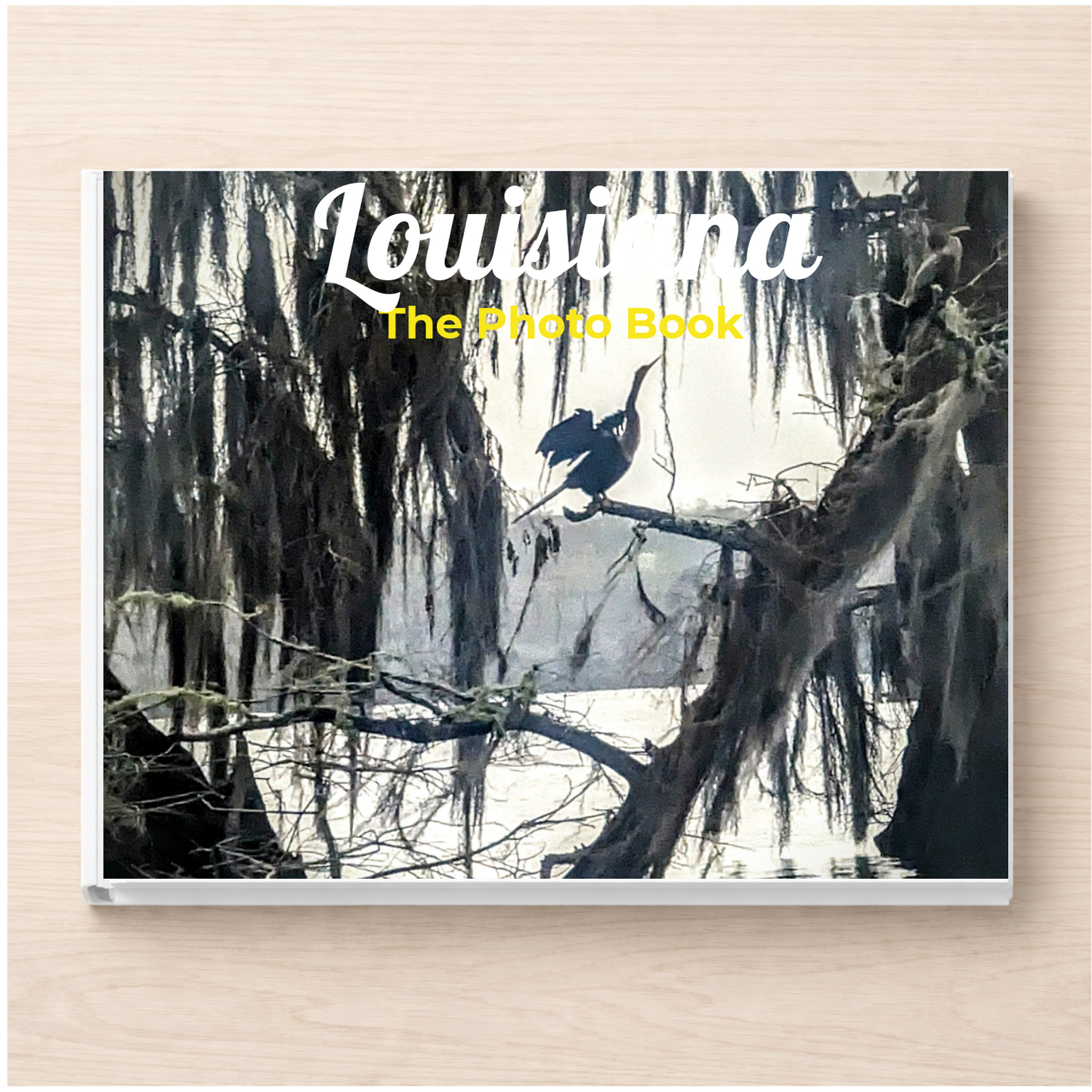 Louisiana: The Photo Book