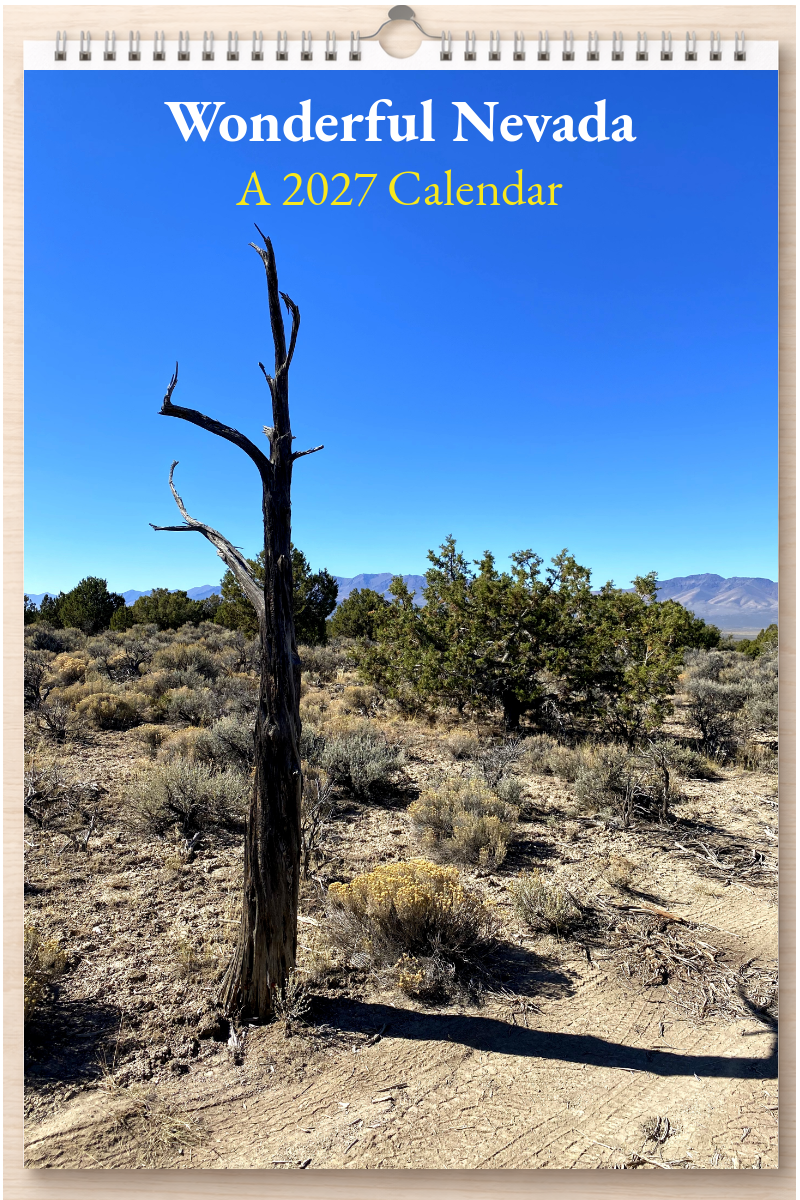 Wonderful Nevada: A 2027 Calendar