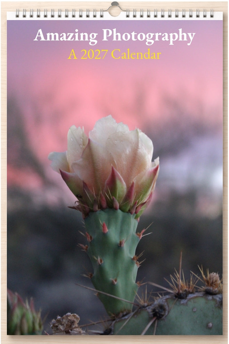 Amazing Photography: A 2027 Calendar