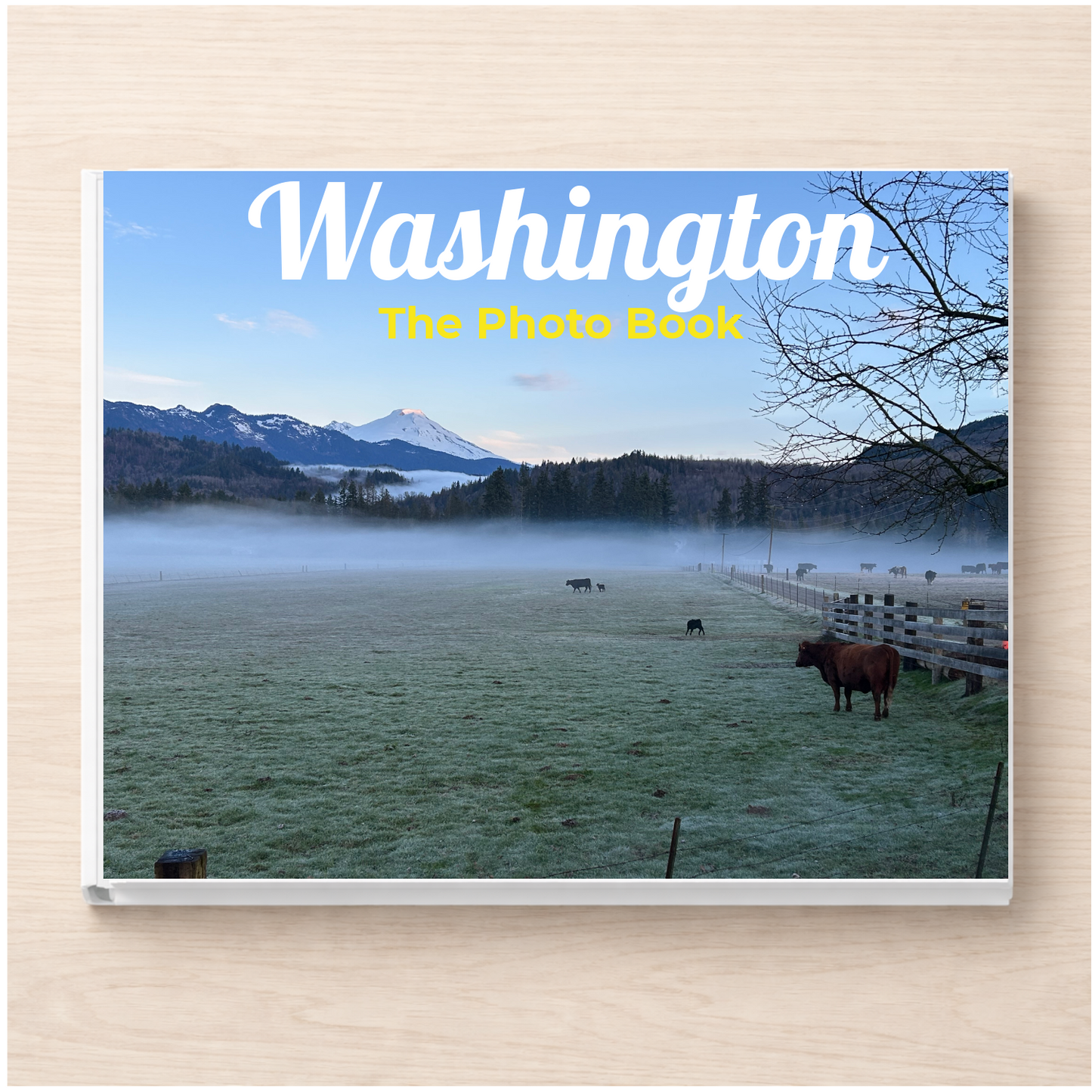 Washington: The Photo Book