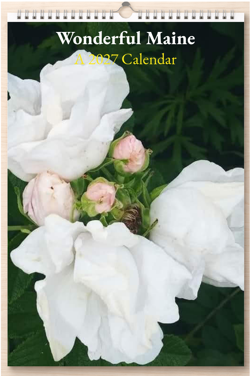 Wonderful Maine: A 2027 Calendar